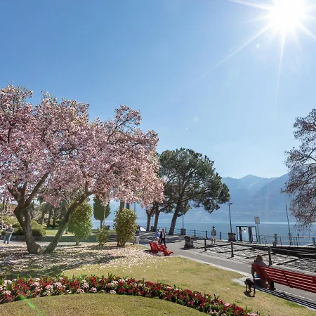 Double Room-4 By Interhome Ascona